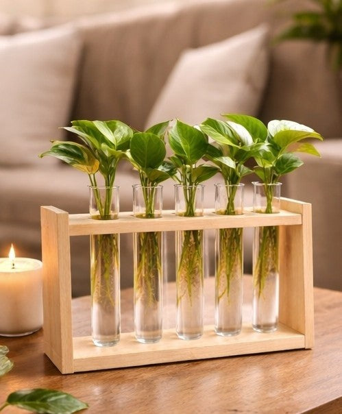 ðŋ Wooden 5 Test Tube Plant Holder | Handmade Hydroponic Vase | Table Decor | Meenu Wood Crafts