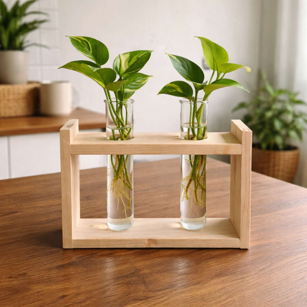🌿 Wooden Double Test Tube Plant Holder | Handmade Hydroponic Vase | Home Decor | Meenu Wood Crafts
