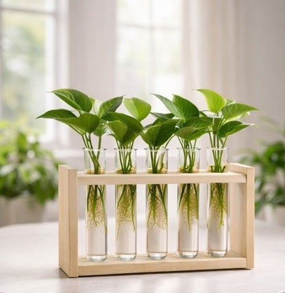 🌿 Wooden 5 Test Tube Plant Holder | Handmade Hydroponic Vase | Table Decor | Meenu Wood Crafts