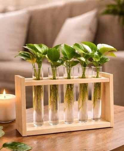 🌿 Wooden 5 Test Tube Plant Holder | Handmade Hydroponic Vase | Table Decor | Meenu Wood Crafts