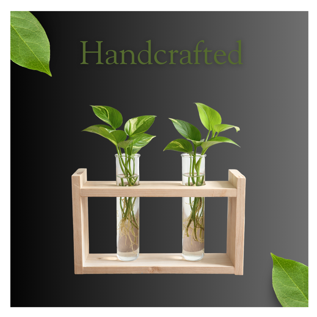 🌿 Wooden Double Test Tube Plant Holder | Handmade Hydroponic Vase | Home Decor | Meenu Wood Crafts