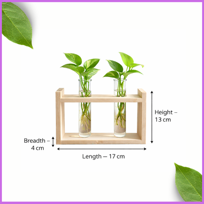🌿 Wooden Double Test Tube Plant Holder | Handmade Hydroponic Vase | Home Decor | Meenu Wood Crafts
